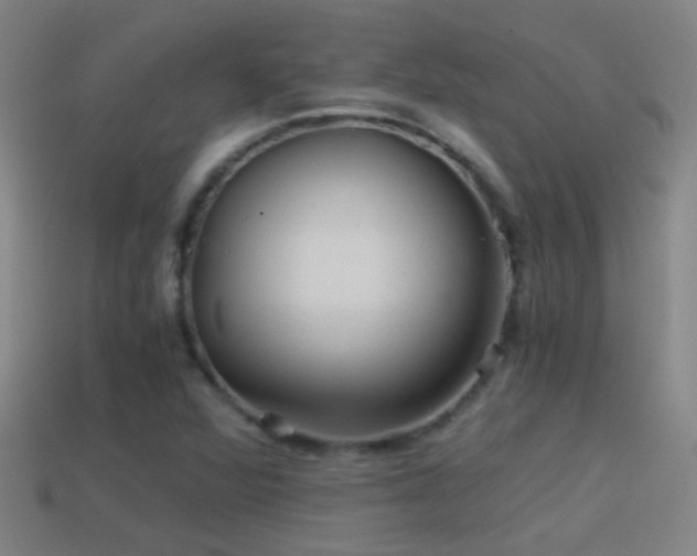 X0000114391360200910161245