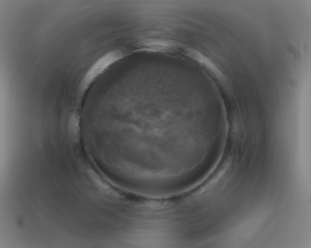 X0000114391362200910161245