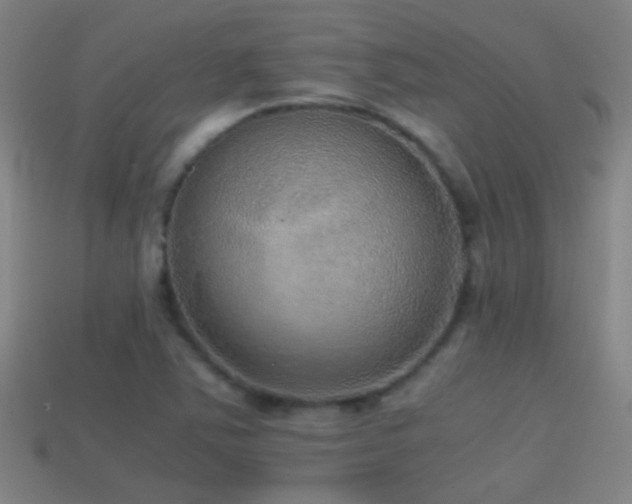X0000114391363200910161245