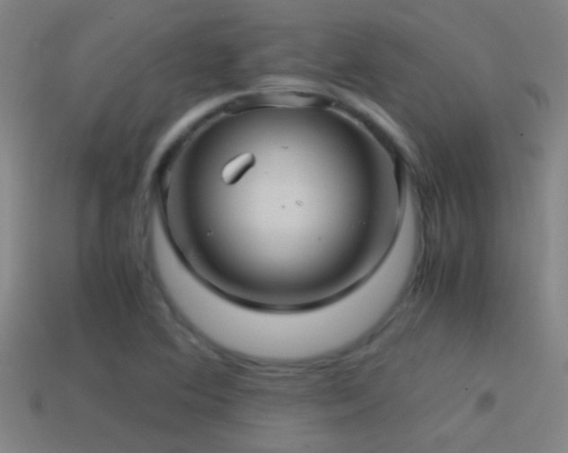 X0000114391364200910161245