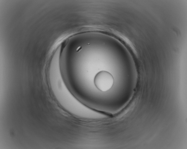 X0000114391365200910161245
