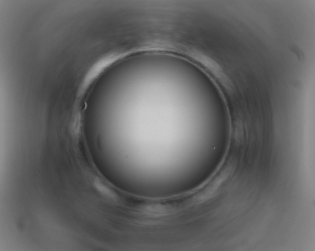 X0000114391366200910161245
