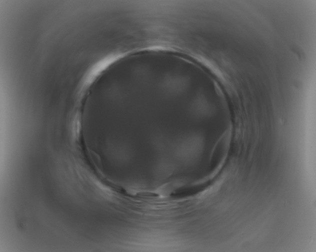 X0000114391367200910161245