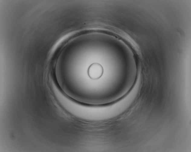X0000114391368200910161245