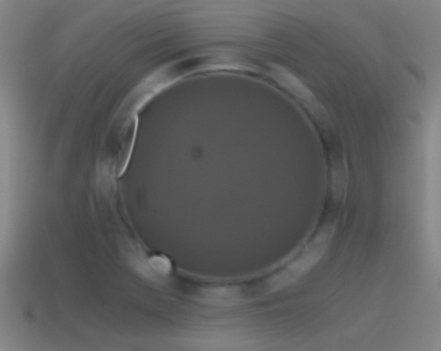 X0000114391369200910161245