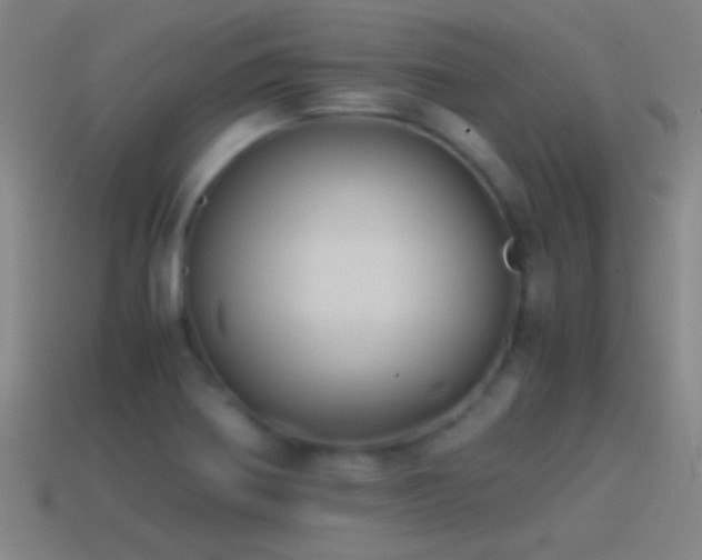 X0000114391370200910161245