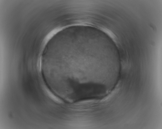 X0000114391371200910161245