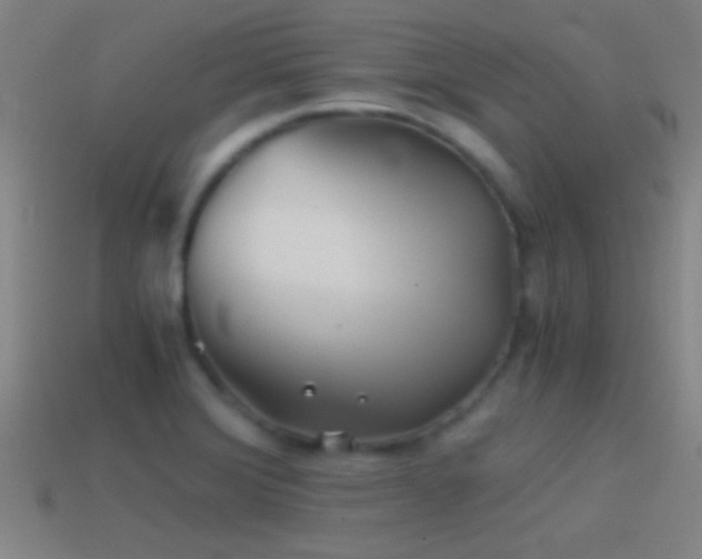 X0000114391372200910161245