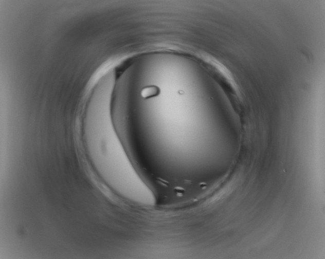 X0000114391373200910161244