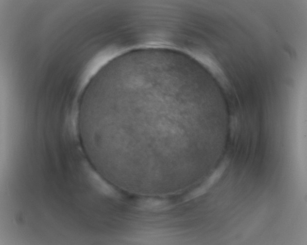 X0000114391374200910161244