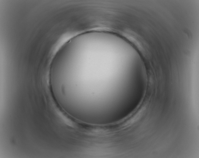 X0000114391375200910161244
