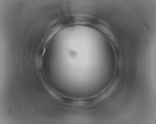 X0000114391377200910161244