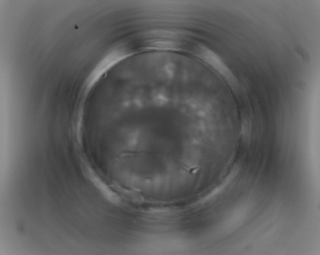 X0000114391378200910161244