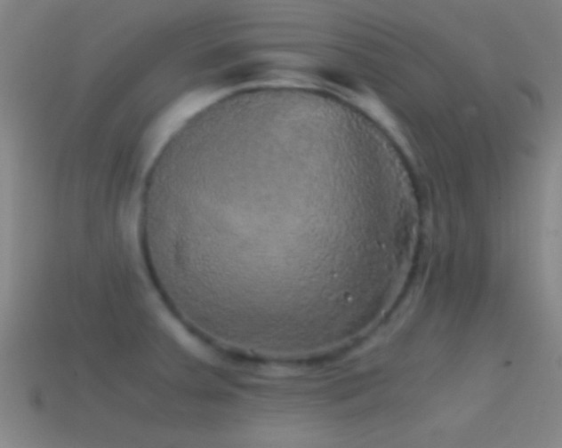X0000114391379200910161244
