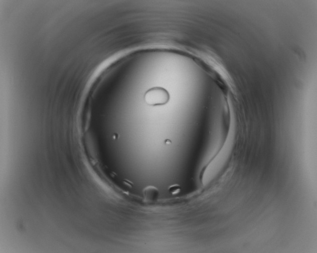 X0000114391380200910161244