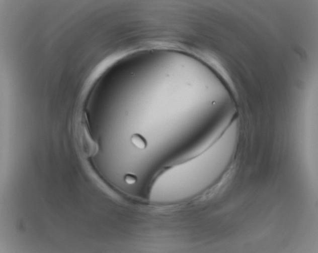 X0000114391381200910161244