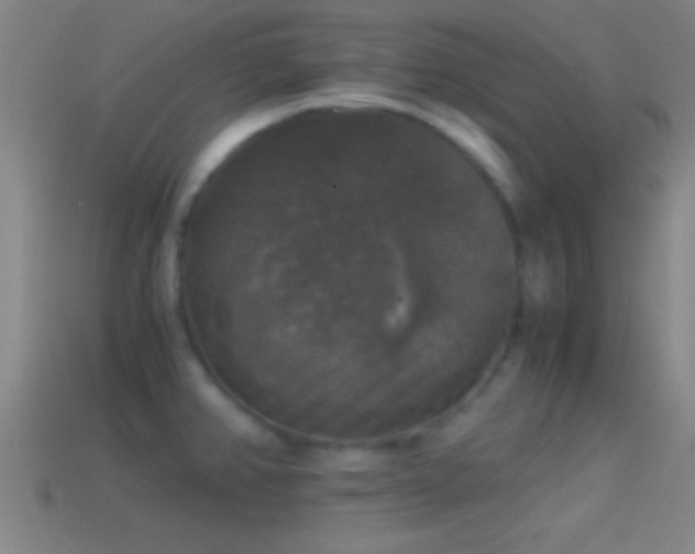 X0000114391382200910161244