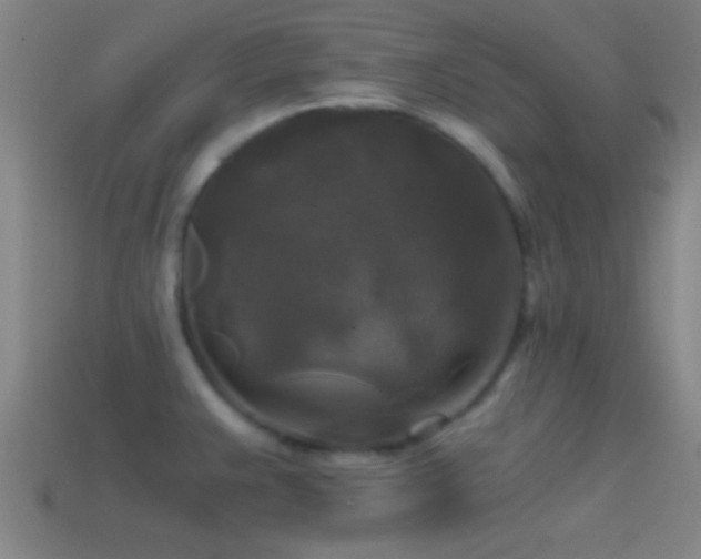 X0000114391383200910161244