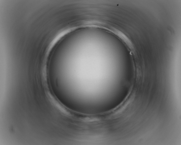X0000114391384200910161244