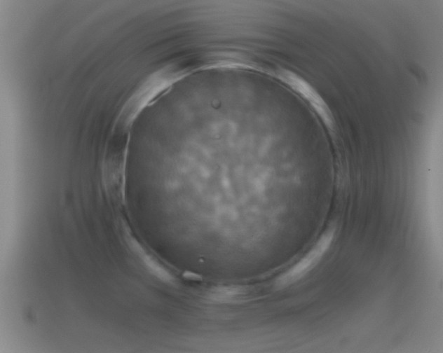 X0000114391385200910161244