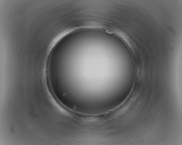 X0000114391387200910161244