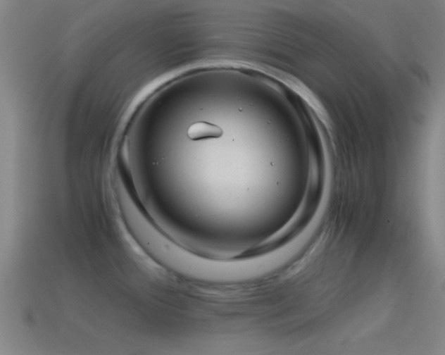 X0000114391388200910161244