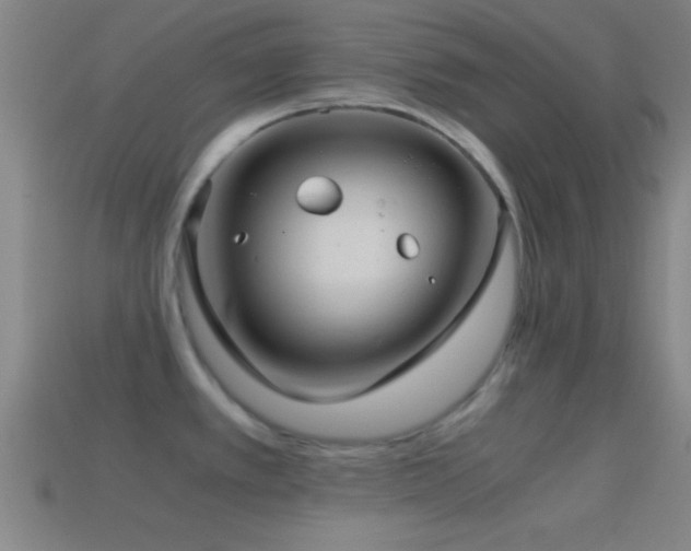 X0000114391389200910161244