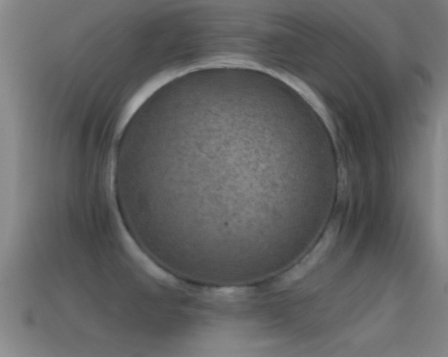 X0000114391390200910161244