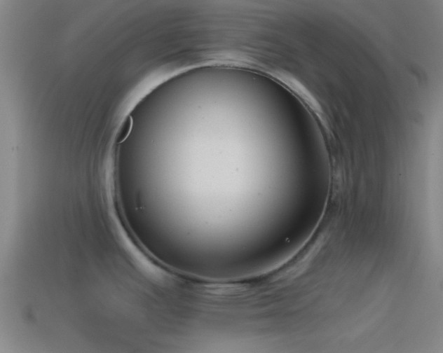 X0000114391391200910161244