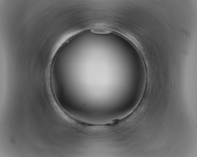 X0000114391392200910161244