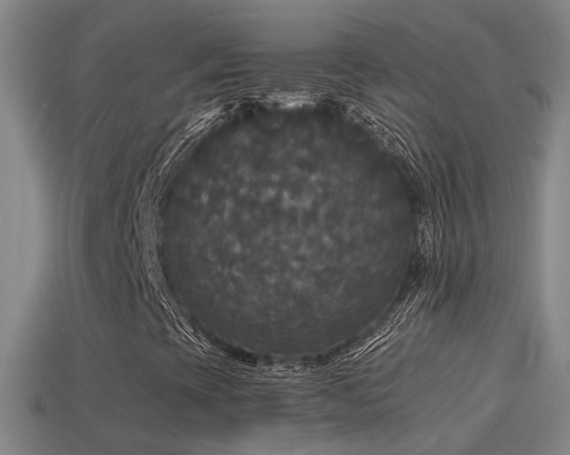 X0000114391393200910161244
