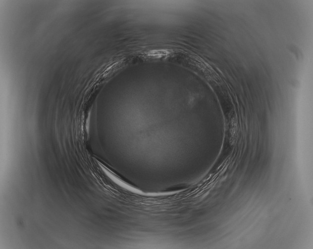 X0000114391394200910161244
