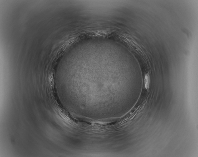 X0000114391395200910161244
