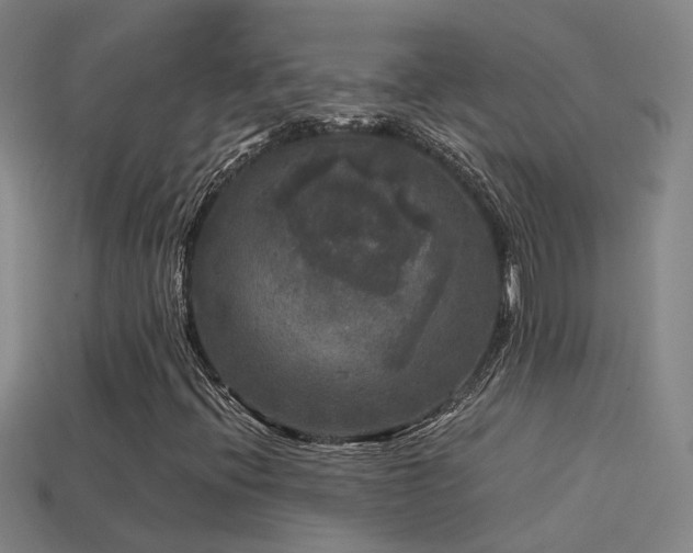X0000114391396200910161244