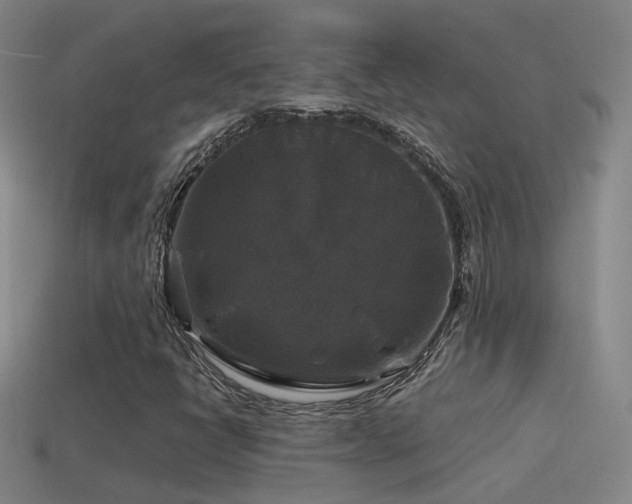 X0000114391398200910161244