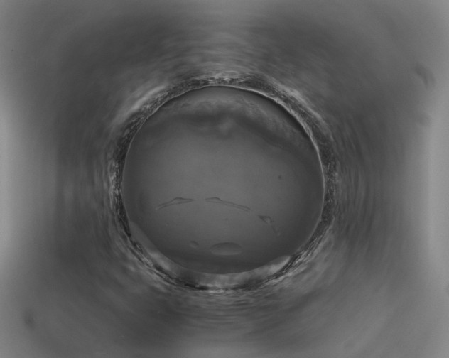 X0000114391399200910161244