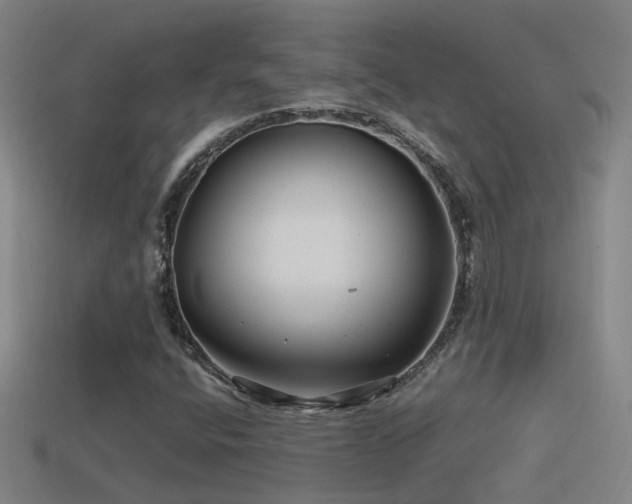 X0000114391400200910161244