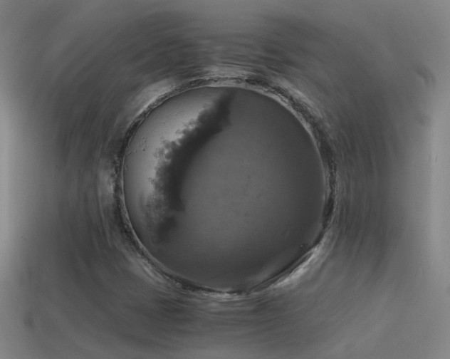 X0000114391401200910161244