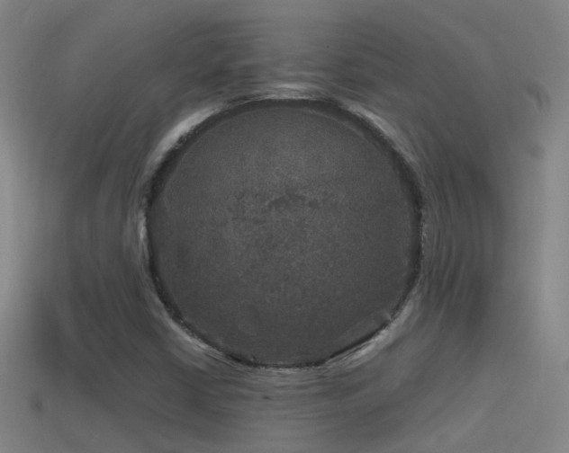 X0000114391402200910161244