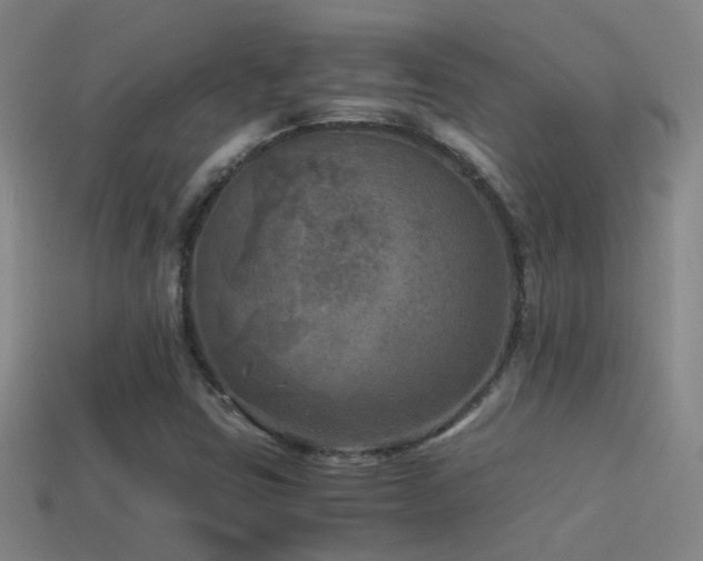 X0000114391403200910161244