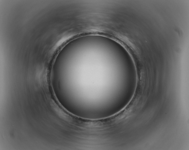 X0000114391404200910161244
