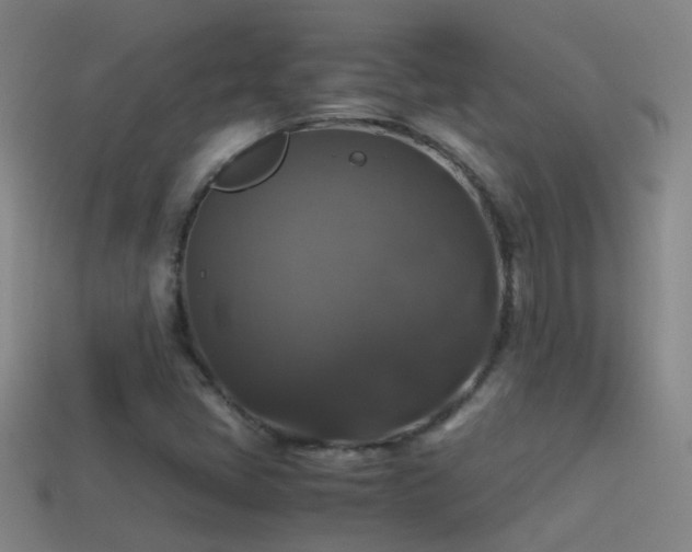 X0000114391405200910161244