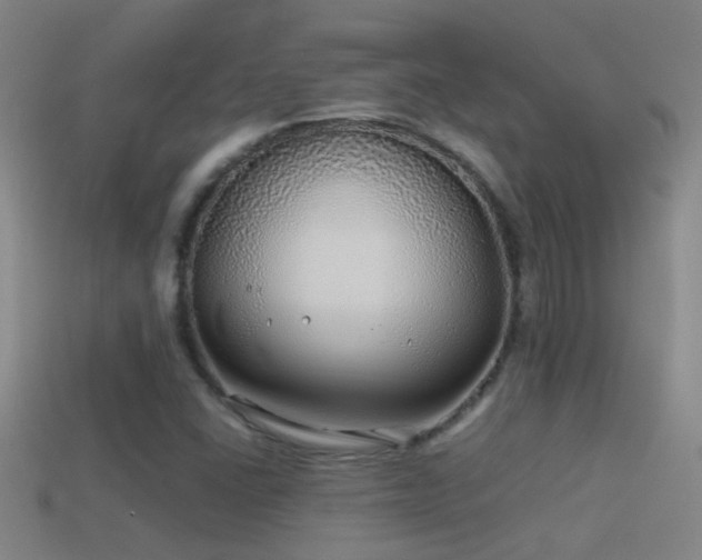 X0000114391406200910161244