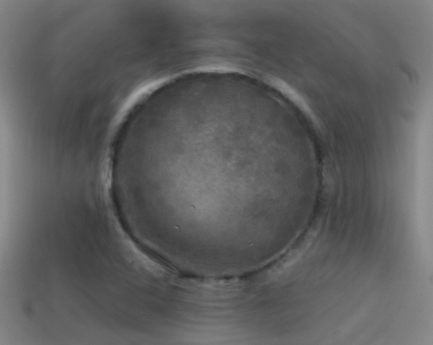 X0000114391408200910161244