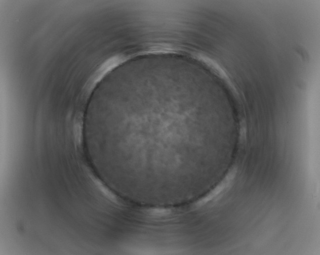 X0000114391409200910161244