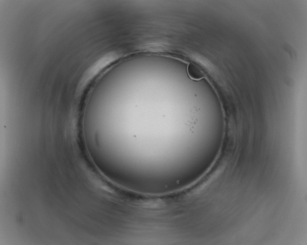 X0000114391410200910161244