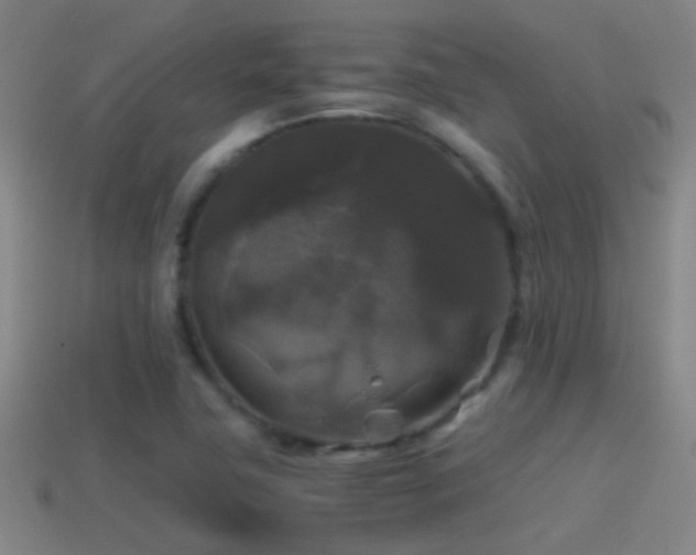 X0000114391411200910161244