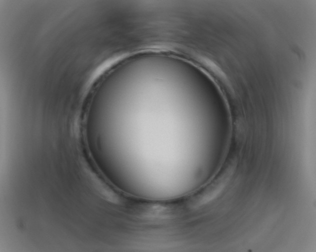 X0000114391412200910161244