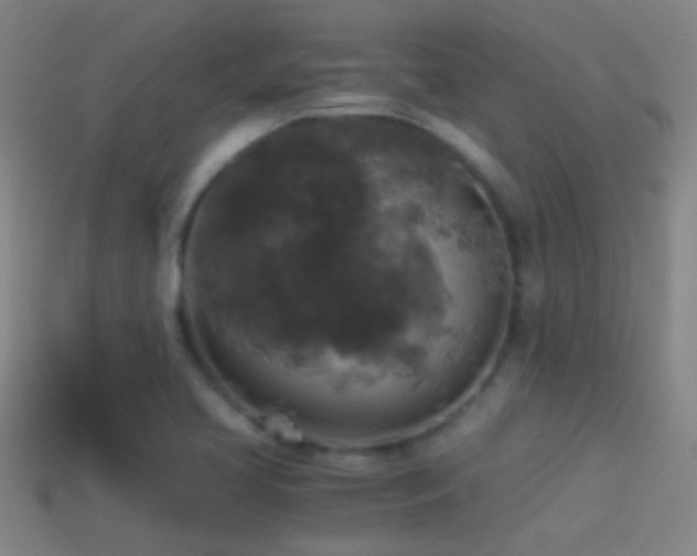 X0000114391413200910161244