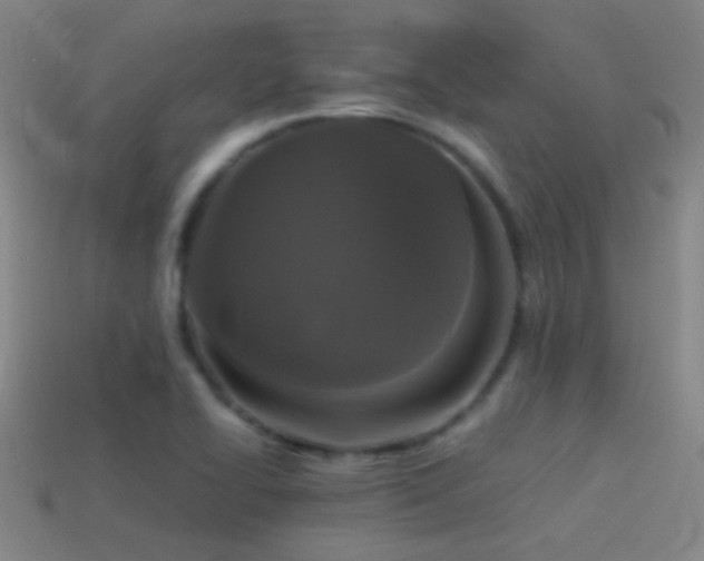 X0000114391414200910161244